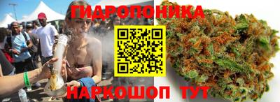 ПСИЛОЦИБИНОВЫЕ ГРИБЫ Изобильный