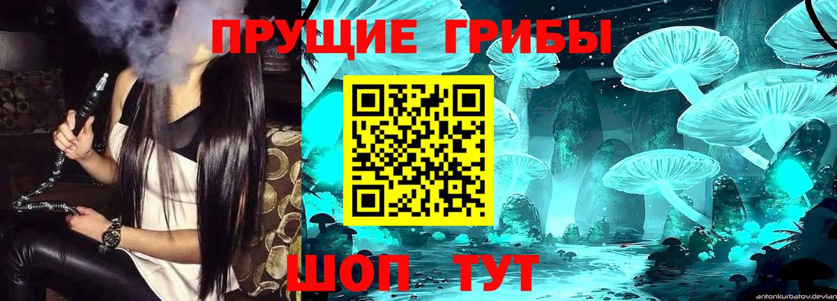 где найти   Вход с VPN  Буйнакск  Псилоцибиновые грибы GOLDEN TEACHER  Галлюциногенные грибы Magic Shrooms 