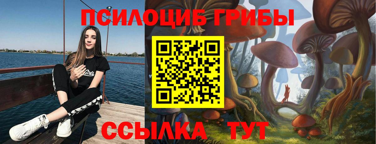 Галлюциногенные грибы GOLDEN TEACHER Буйнакск